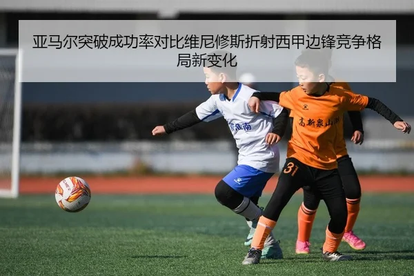 img_1783356921763_439_1_332.jpg